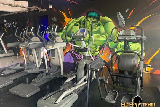 Imagen 1 de la galería del partner Elite Team Pro Gym Santiago