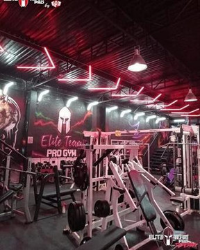 Imagen 2 de la galería del partner Elite Team Pro Gym Tepepan