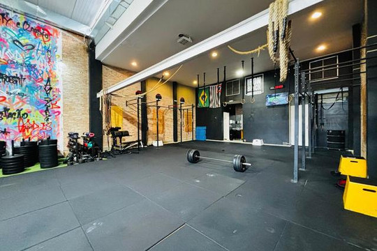 Imagem 2 da galeria do parceiro Iron Brick Fitness