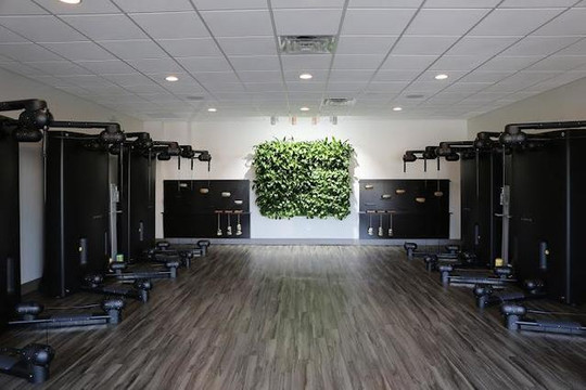 Image 1 from ALTYOU partner gallery