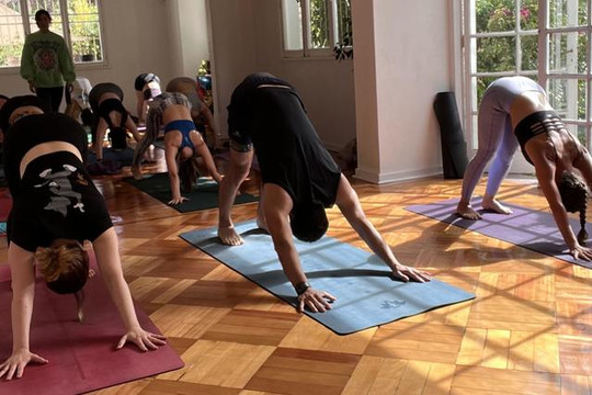 Imagen 2 de la galería del partner Yoga Studio Chile