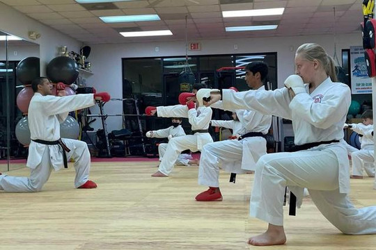 Image 1 from Triangle's Best Karate partner gallery