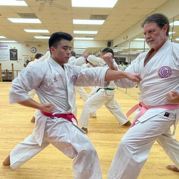 Image 2 from Triangle's Best Karate partner gallery