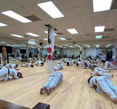 Image 3 from Triangle's Best Karate partner gallery