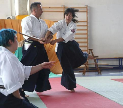 Immagine 1 dalla galleria del partner Aikido Seikikan dojo di Breganze