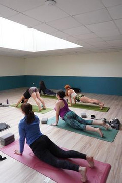 Imagen 2 de la galería del partner Dhatri Yoga & Ayurveda