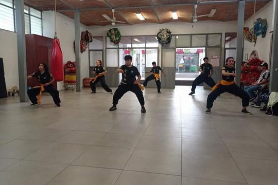 Imagen 1 de la galería del partner Jīn lóng Shī