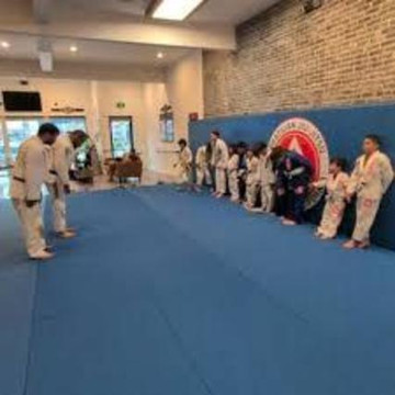 Image 3 from Gracie Barra Studio City partner gallery