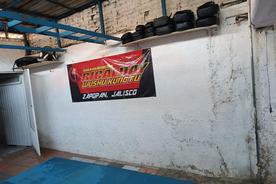 Imagen 2 de la galería del partner Ricalday Wushu Kung Fu, Jalisco