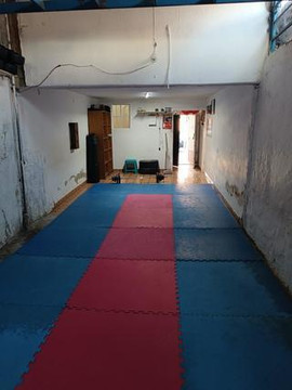 Imagen 3 de la galería del partner Ricalday Wushu Kung Fu, Jalisco