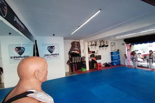 Imagen 1 de la galería del partner CWH Jaguares