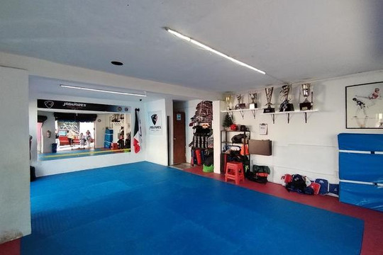 Imagen 2 de la galería del partner CWH Jaguares