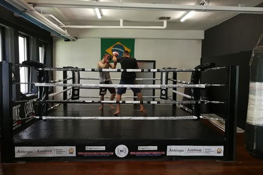 Immagine 2 dalla galleria del partner Thunder Top Boxing