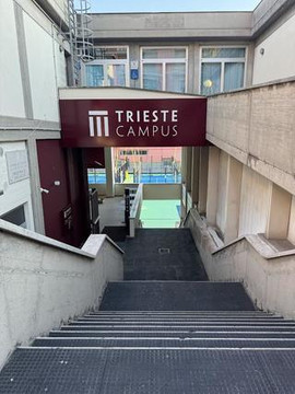 Immagine 3 dalla galleria del partner Trieste Campus