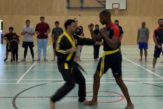 Image 2 from UMAA - Hayes partner gallery