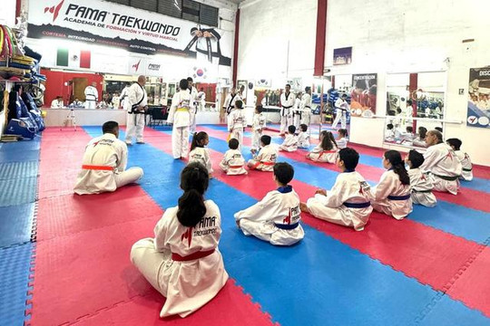 Imagen 2 de la galería del partner PAMA Taekwondo Seattle