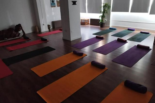 Imagen 1 de la galería del partner Shamatha centro Holístico