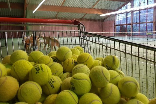 Bild 1 von Tennis- und Squashcenter Olsberg Partnergalerie
