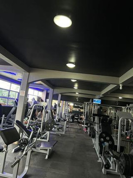 Imagen 2 de la galería del partner GymBear