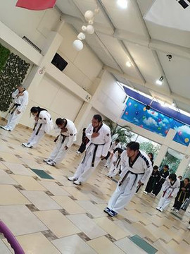 Imagen 1 de la galería del partner An's Tae Kwon Do Raptors