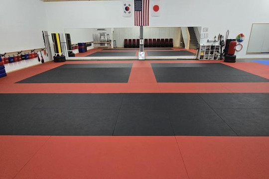 Image 1 from Ultimate Martial Arts partner gallery