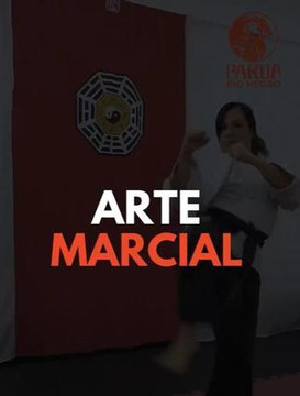 Imagen 1 de la galería del partner Pakua Rio Negro