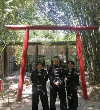 Imagen 3 de la galería del partner Kung Fu Tigre Negro
