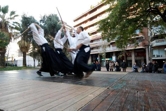 Imagem 2 da galeria do parceiro Aikido Kenshukai Barcelona
