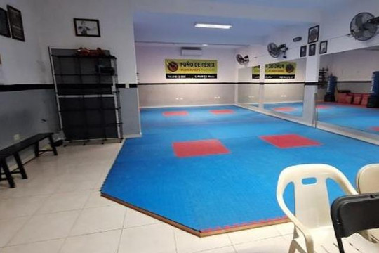 Imagen 1 de la galería del partner PUÑO DE FÉNIX WUSHU KUNG FU