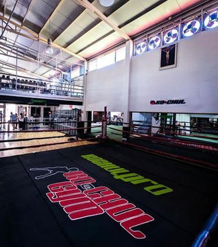 Imagen 1 de la galería del partner Kochul Gym Scally