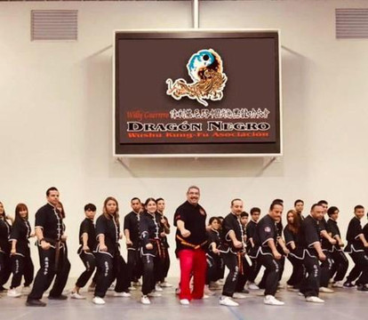 Imagen 1 de la galería del partner Willy Guerrero Dragón Negro Wushu Kung f
