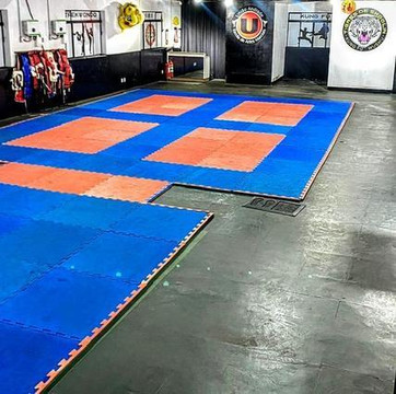 Imagem 1 da galeria do parceiro Escola de Artes Marciais