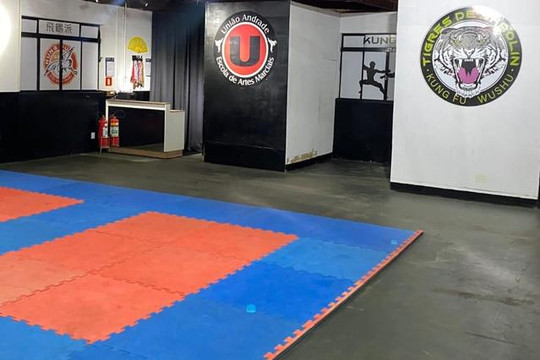Imagem 2 da galeria do parceiro Escola de Artes Marciais
