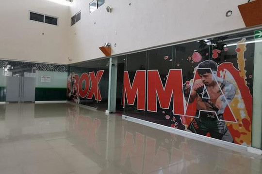 Imagen 1 de la galería del partner Black Mamba