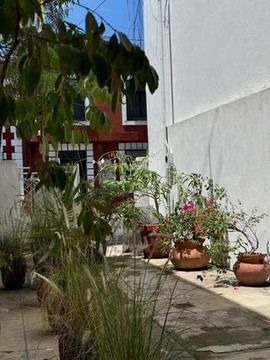 Imagen 1 de la galería del partner Muta Centro Humano