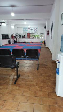 Imagen 2 de la galería del partner Songahm Martial Arts Mar del Plata