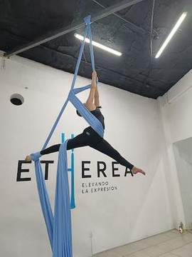 Imagen 1 de la galería del partner Etherea Studio