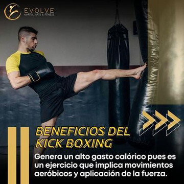 Imagen 2 de la galería del partner Evolve Martial Arts & Fitness
