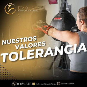 Imagen 3 de la galería del partner Evolve Martial Arts & Fitness