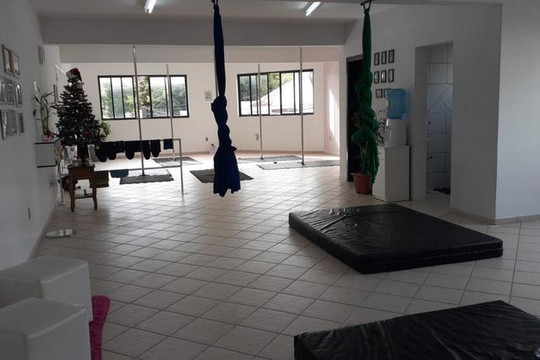 Imagem 2 da galeria do parceiro POLE STUDIO GREICY H. NOSSOL
