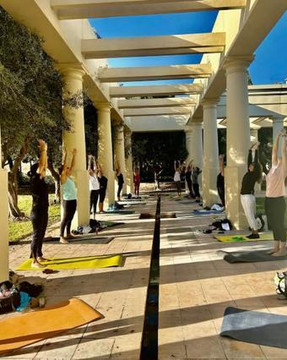 Imagen 2 de la galería del partner Poti Pilates
