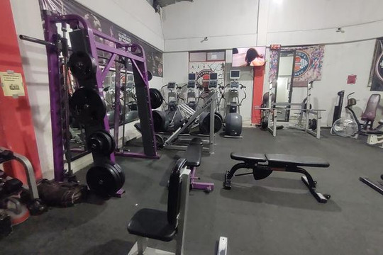 Imagen 3 de la galería del partner Doberman Elite