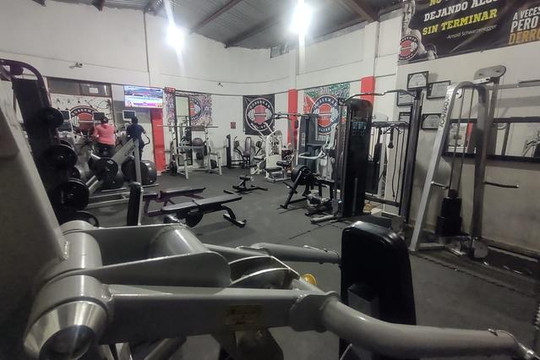 Imagen 2 de la galería del partner Doberman Coliseo