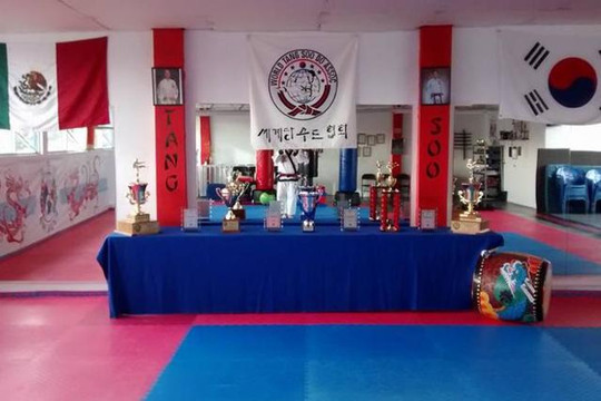 Imagen 1 de la galería del partner Karate
