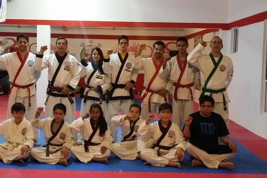Imagen 2 de la galería del partner Karate