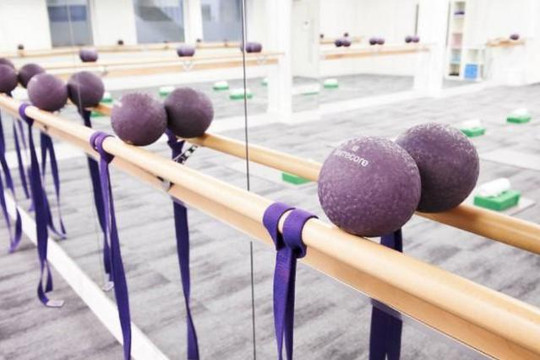 Image 3 from Barrecore Chelsea partner gallery