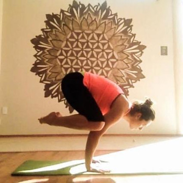 Imagen 2 de la galería del partner Iris Castelán Yoga Shala