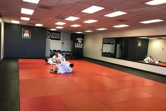 Image 2 from Gracie Jiu-Jitsu Phoenix - Bell Road partner gallery