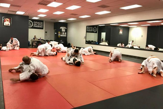 Image 3 from Gracie Jiu-Jitsu Phoenix - Bell Road partner gallery