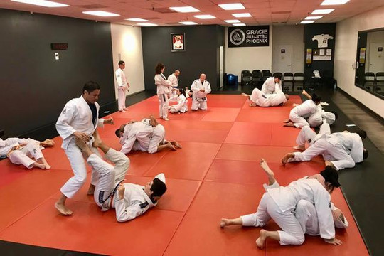 Image 3 from Gracie Jiu-Jitsu Phoenix - Tatum Blvd partner gallery